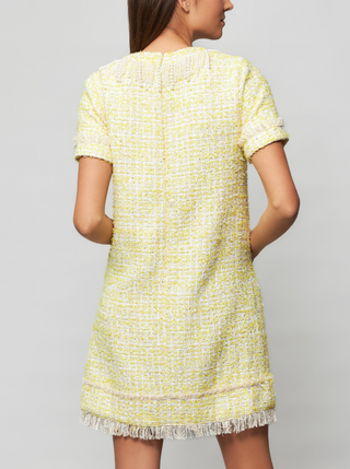 Tia Tweed Dress